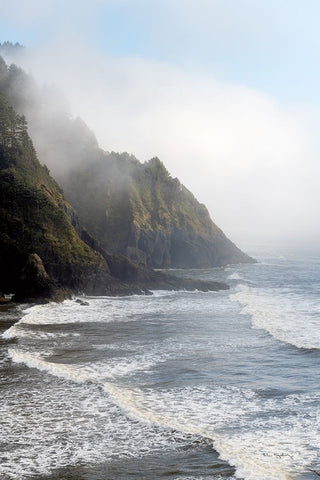 Heceta Head Oregon Black Ornate Wood Framed Art Print with Double Matting by Majchrowicz, Alan