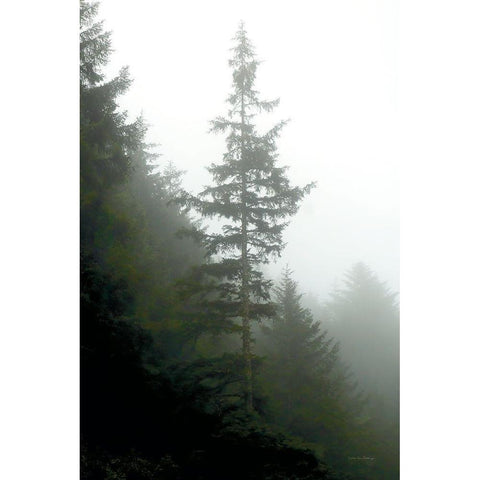 Majestic Pines I White Modern Wood Framed Art Print by Van Swearingen, Debra