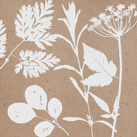 Leaves of Inspiration IV Neutral Black Ornate Wood Framed Art Print with Double Matting by Studio Mousseau