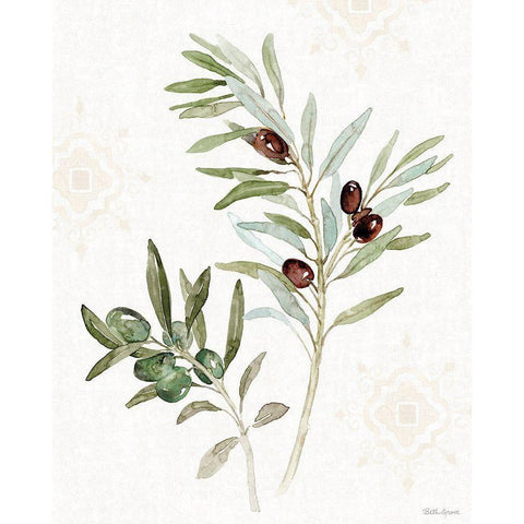 Mediterranean Motif IX White Modern Wood Framed Art Print by Grove, Beth