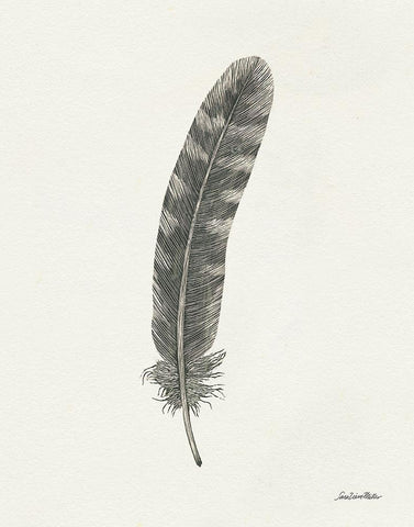 Springtime Feather I Black Ornate Wood Framed Art Print with Double Matting by Miller, Sara Zieve