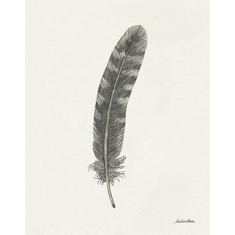 Springtime Feather I Black Modern Wood Framed Art Print by Miller, Sara Zieve