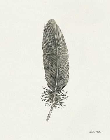 Springtime Feather II White Modern Wood Framed Art Print with Double Matting by Miller, Sara Zieve