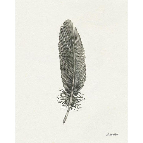 Springtime Feather II Black Modern Wood Framed Art Print by Miller, Sara Zieve