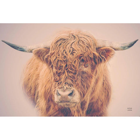 Highland in the Winter Fog Black Modern Wood Framed Art Print with Double Matting by Larson, Nathan