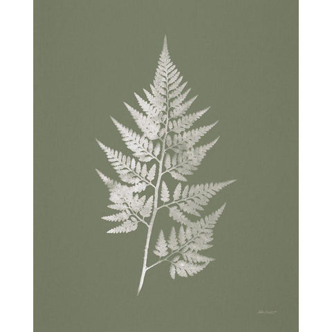 True Green VIII White Modern Wood Framed Art Print by Pertiet, Katie