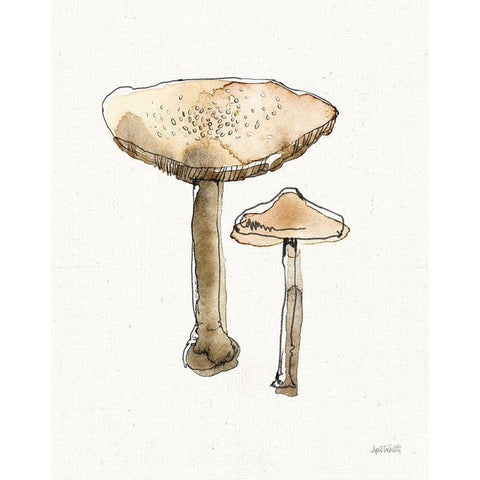 Fresh Farmhouse Mushrooms II Black Modern Wood Framed Art Print with Double Matting by Tavoletti, Anne