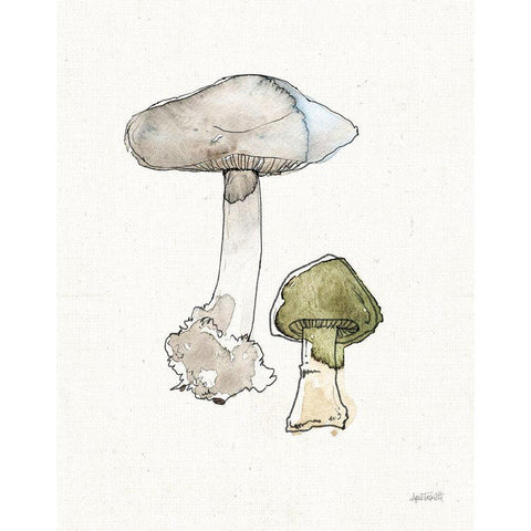 Fresh Farmhouse Mushrooms III Black Modern Wood Framed Art Print with Double Matting by Tavoletti, Anne