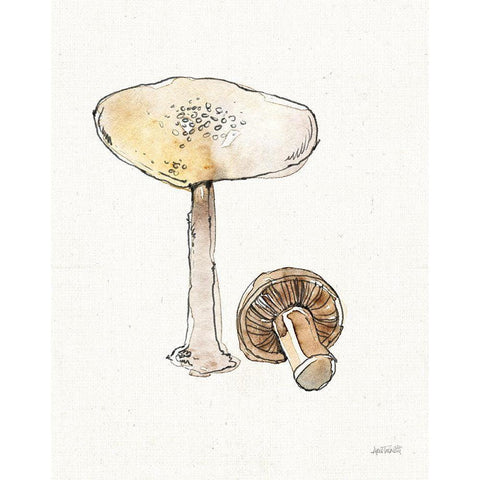 Fresh Farmhouse Mushrooms IV White Modern Wood Framed Art Print by Tavoletti, Anne