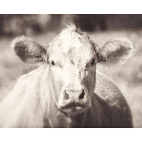 Pasture Cow Neutral Gold Ornate Wood Framed Art Print with Double Matting by Van Swearingen, Debra