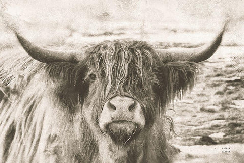 You Have My Attention White Modern Wood Framed Art Print with Double Matting by Larson, Nathan