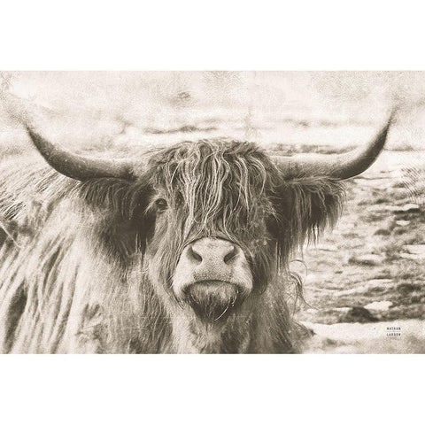 You Have My Attention Black Modern Wood Framed Art Print by Larson, Nathan