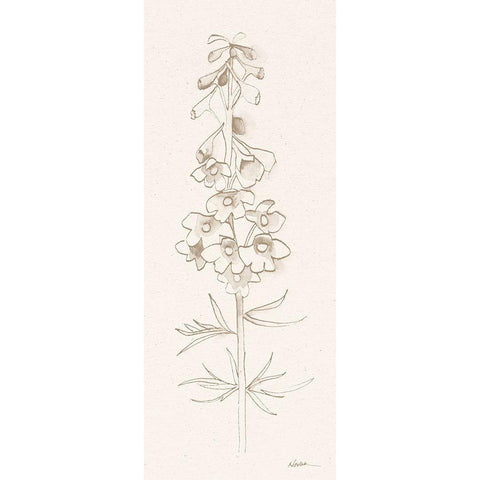 Delphinium I White Modern Wood Framed Art Print by Novak, Shirley