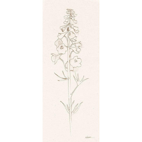 Delphinium II White Modern Wood Framed Art Print by Novak, Shirley