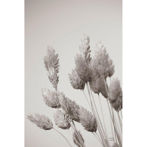 Wistful BW Black Modern Wood Framed Art Print with Double Matting by Larson, Nathan