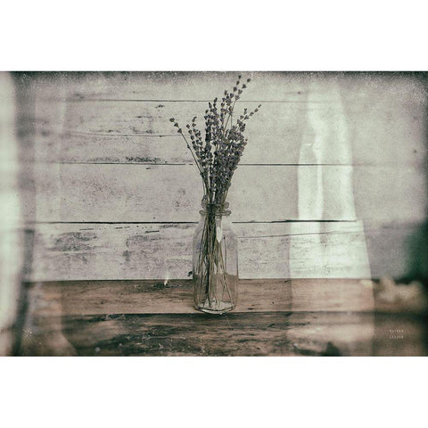 Cottage Lavender I Black Modern Wood Framed Art Print by Larson, Nathan