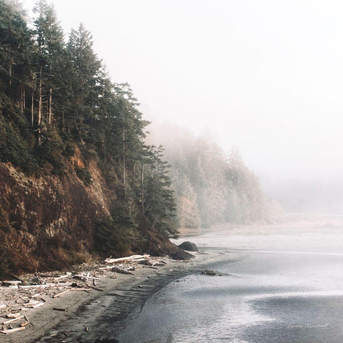 Salt Creek III Color White Modern Wood Framed Art Print by Marshall, Laura