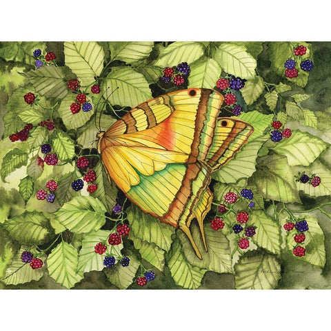 Bountiful Butterfly Gold Ornate Wood Framed Art Print with Double Matting by McKenna, Kathleen Parr
