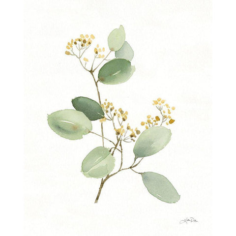 Flowers of the Wild I White Modern Wood Framed Art Print by Pete, Katrina