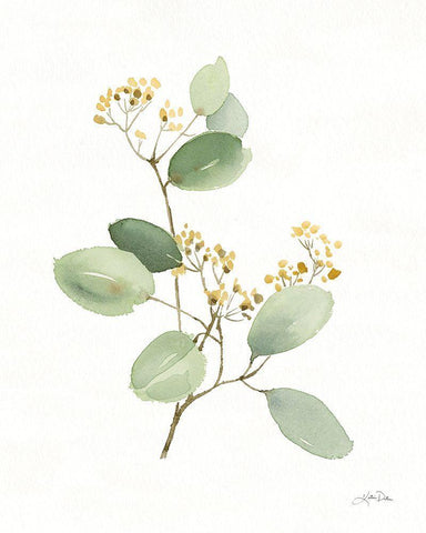 Flowers of the Wild I White Modern Wood Framed Art Print with Double Matting by Pete, Katrina