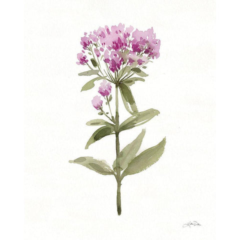 Flowers of the Wild II Black Modern Wood Framed Art Print with Double Matting by Pete, Katrina