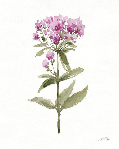 Flowers of the Wild II White Modern Wood Framed Art Print with Double Matting by Pete, Katrina