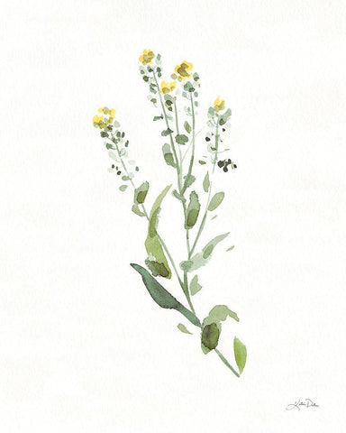 Flowers of the Wild IV White Modern Wood Framed Art Print with Double Matting by Pete, Katrina