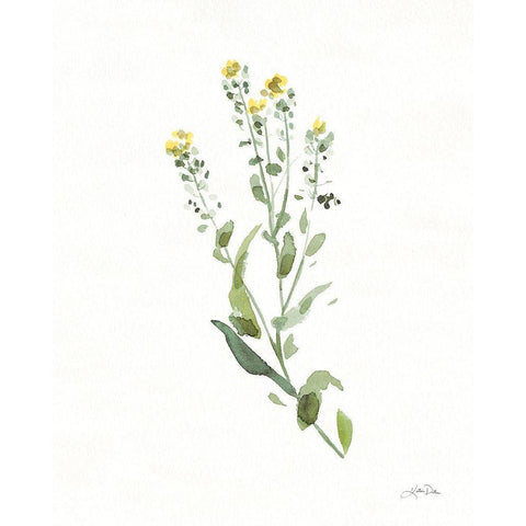 Flowers of the Wild IV Black Modern Wood Framed Art Print with Double Matting by Pete, Katrina