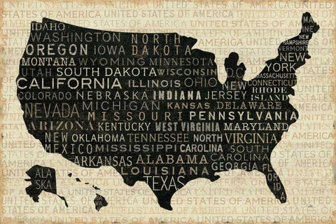 USA V Black Ornate Wood Framed Art Print with Double Matting by Pela Studio