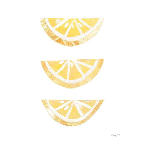 Lemon Slices I Black Modern Wood Framed Art Print with Double Matting by Prahl, Courtney
