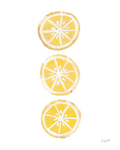 Lemon Slices II White Modern Wood Framed Art Print with Double Matting by Prahl, Courtney