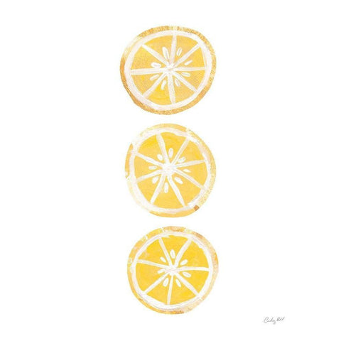 Lemon Slices II Black Modern Wood Framed Art Print by Prahl, Courtney