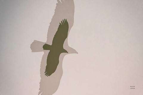 Double Eagle Black Ornate Wood Framed Art Print with Double Matting by Larson, Nathan