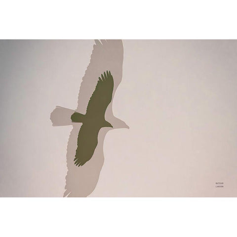 Double Eagle Black Modern Wood Framed Art Print by Larson, Nathan