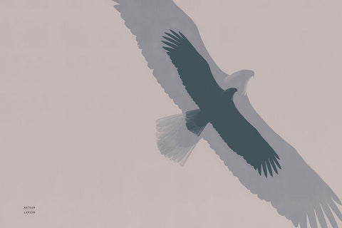 Double Eagle Flight White Modern Wood Framed Art Print with Double Matting by Larson, Nathan