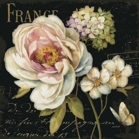 Marche de Fleurs on Black Gold Ornate Wood Framed Art Print with Double Matting by Audit, Lisa