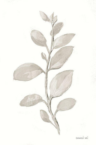 Gray Sage Leaves II on White Black Ornate Wood Framed Art Print with Double Matting by Nai, Danhui