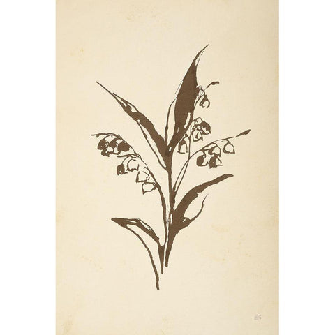Vintage Line Lily of the Valley I Black Modern Wood Framed Art Print with Double Matting by Paschke, Chris