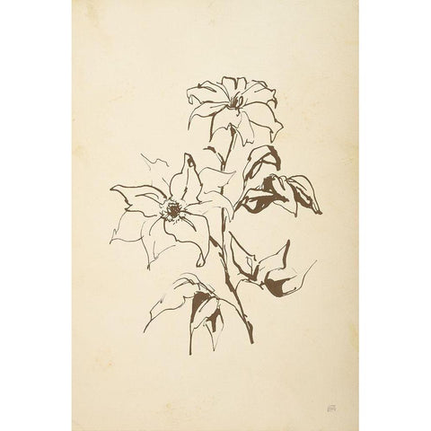 Vintage Line Clematis Black Modern Wood Framed Art Print by Paschke, Chris
