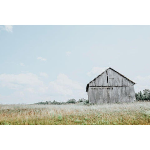 Hideout White Modern Wood Framed Art Print by Larson, Nathan