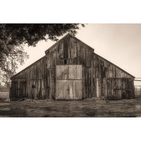 Hiding from the Rain White Modern Wood Framed Art Print by Larson, Nathan