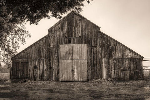 Hiding from the Rain White Modern Wood Framed Art Print with Double Matting by Larson, Nathan