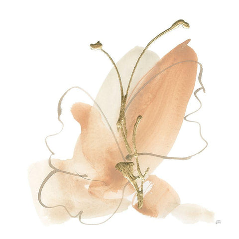 Butterfly Flower II Black Modern Wood Framed Art Print by Paschke, Chris