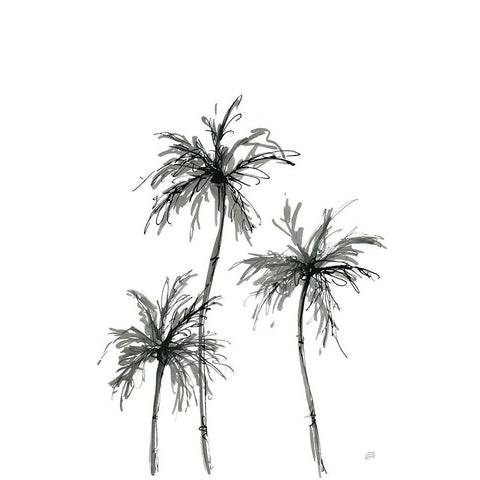 Shadow Palms I Black Modern Wood Framed Art Print with Double Matting by Paschke, Chris