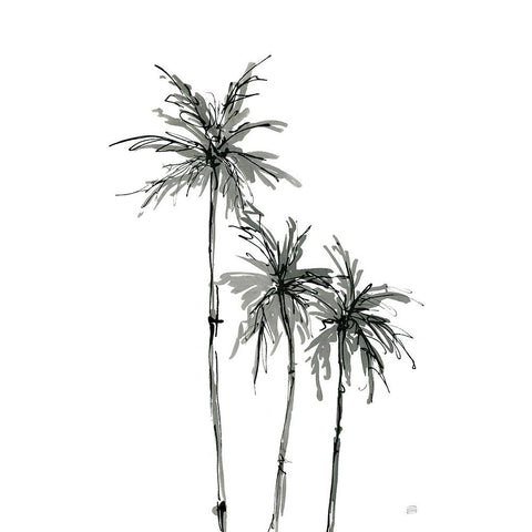 Shadow Palms II Black Modern Wood Framed Art Print by Paschke, Chris