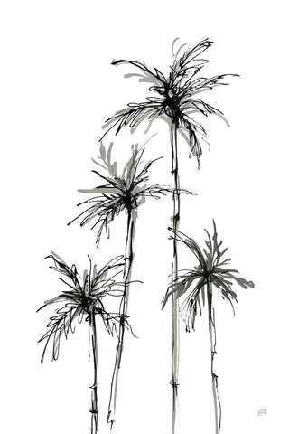 Shadow Palms III Black Ornate Wood Framed Art Print with Double Matting by Paschke, Chris