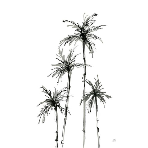 Shadow Palms III Black Modern Wood Framed Art Print by Paschke, Chris