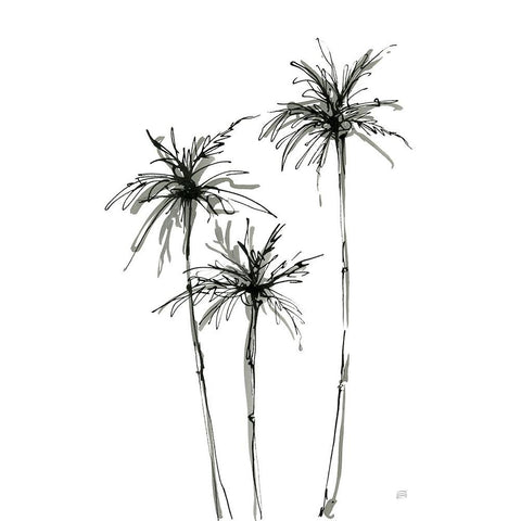 Shadow Palms IV Black Modern Wood Framed Art Print by Paschke, Chris