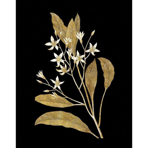 Gold Botanical V on Black White Modern Wood Framed Art Print by Wild Apple Portfolio