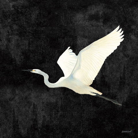 Egret Alighting II Flipped Black White Modern Wood Framed Art Print with Double Matting by Lovell, Kathrine